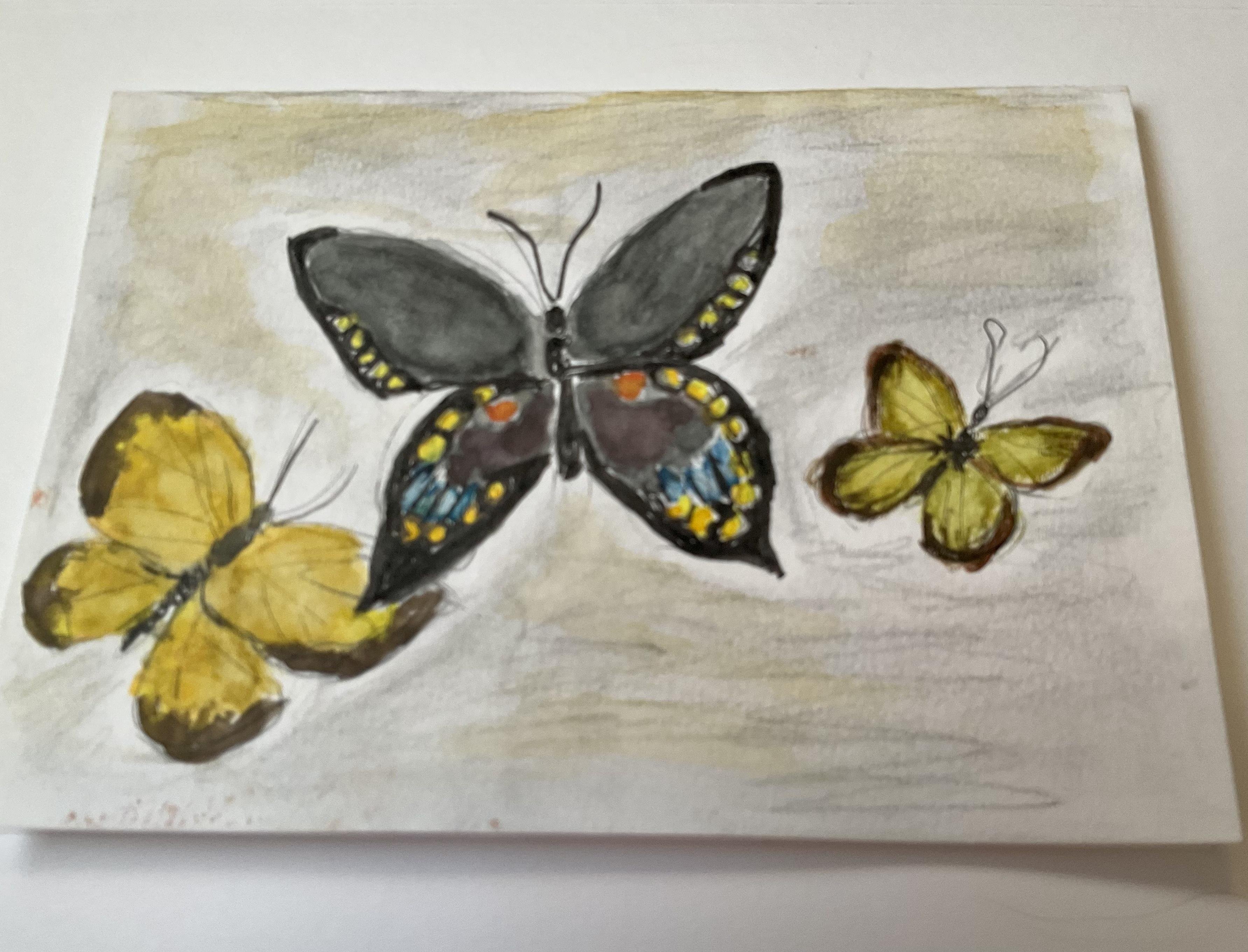 more-projects-from-class-img