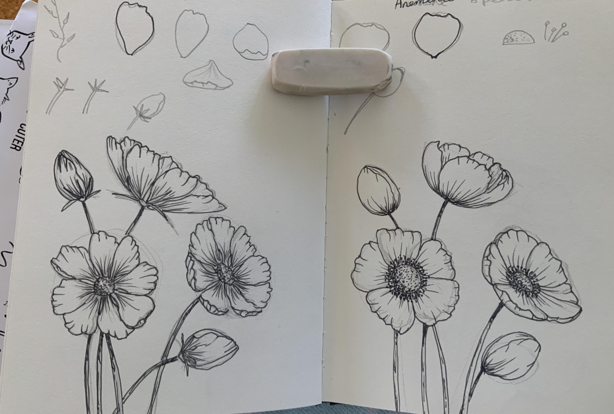 Daisies and echinacea - student project
