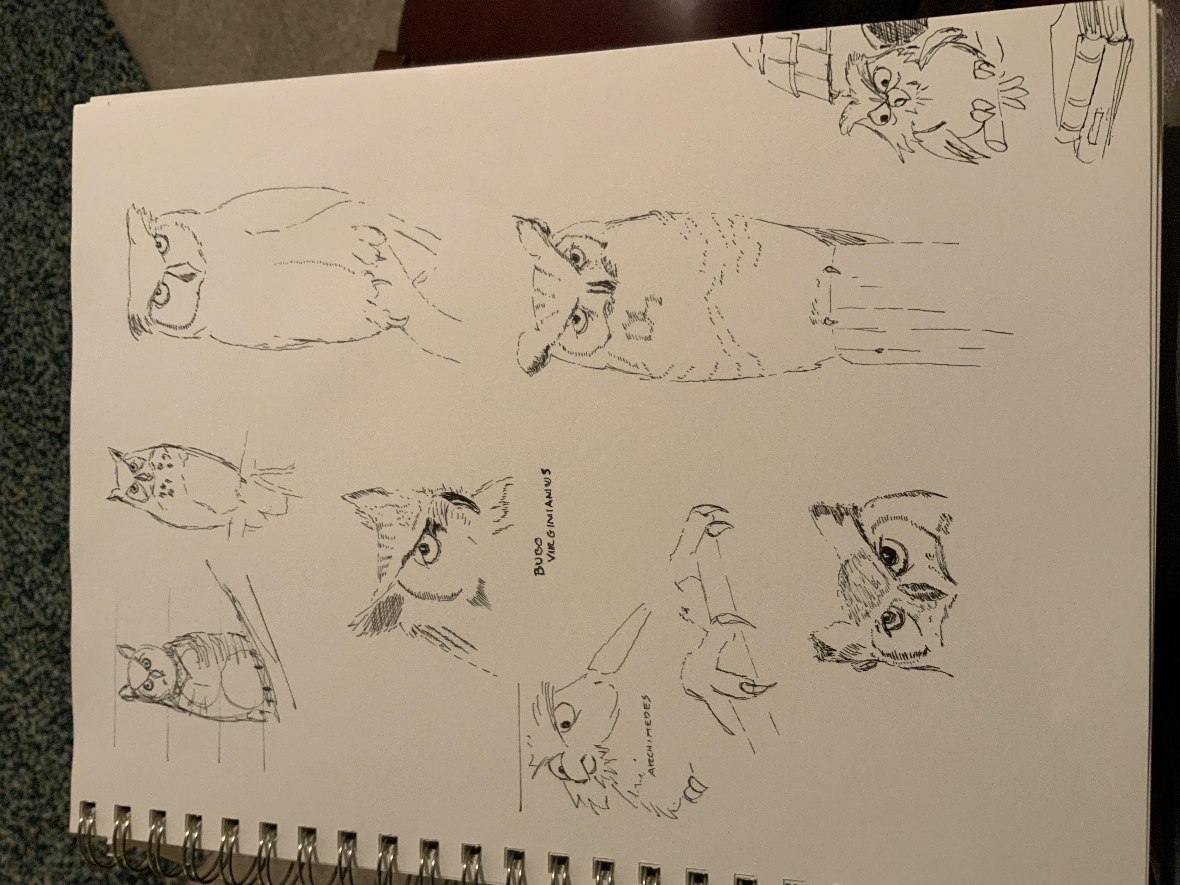 more-projects-from-class-img