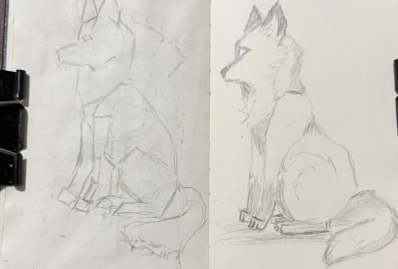 Fox sketch