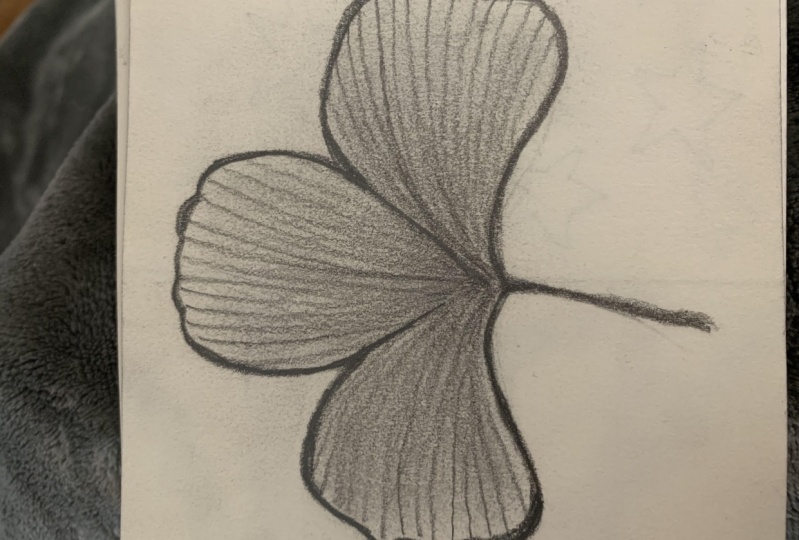 My leaf