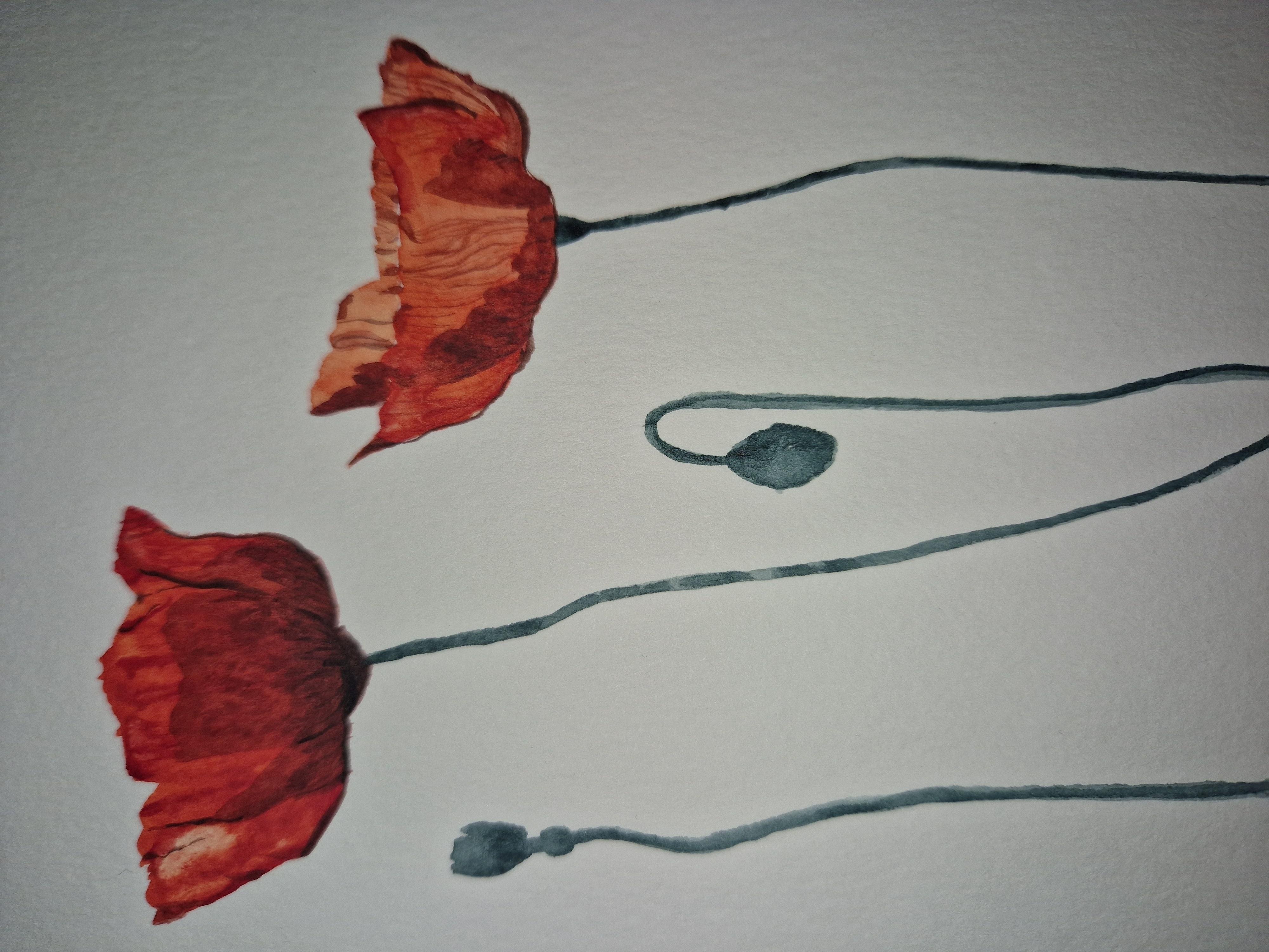 Poppy - student project