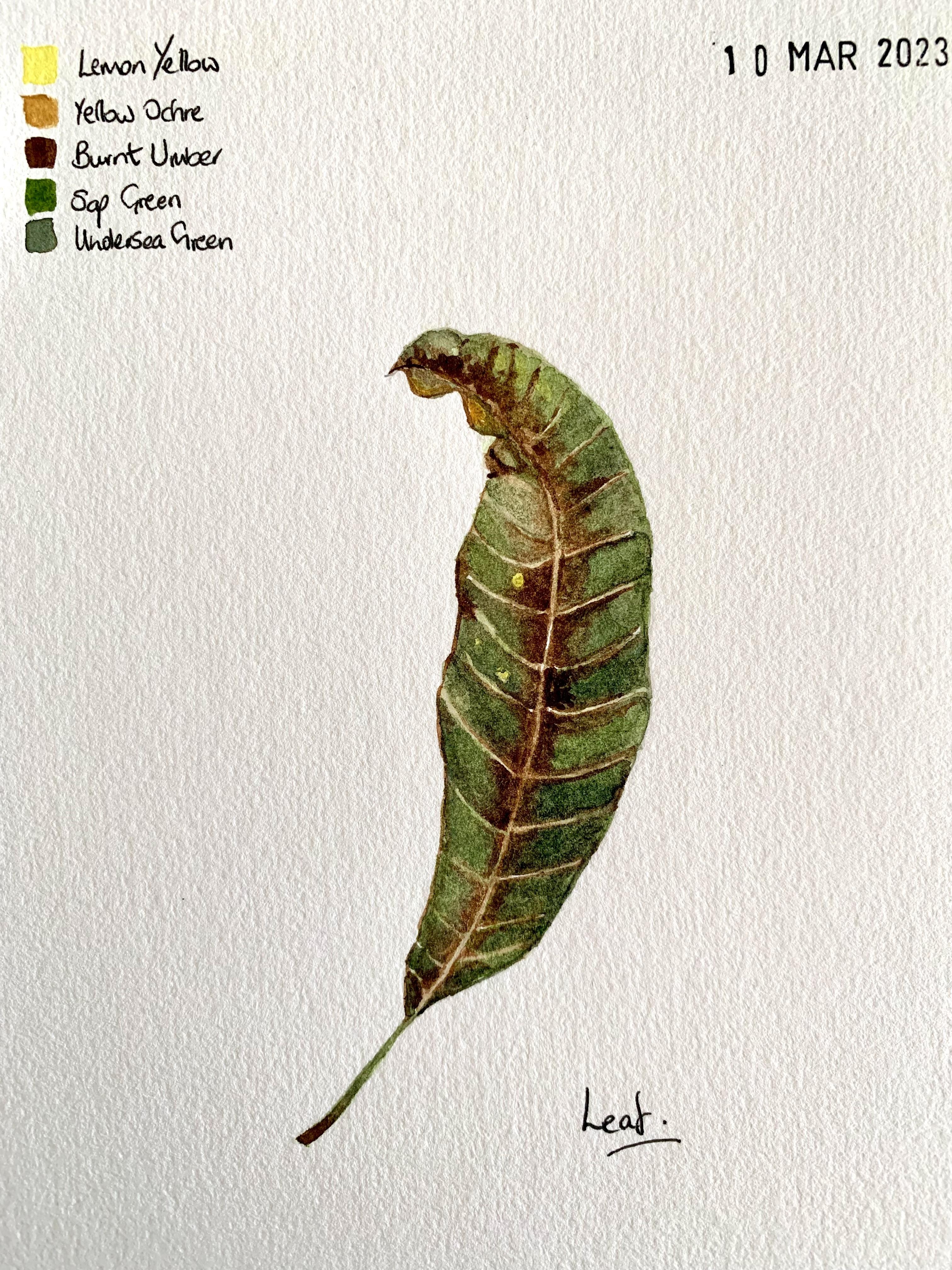 Leaf - student project