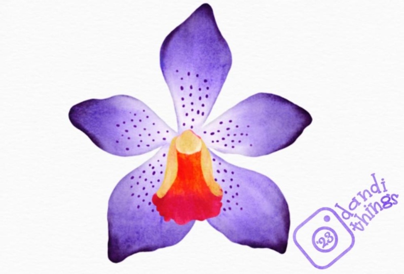 Hibiscus Flower