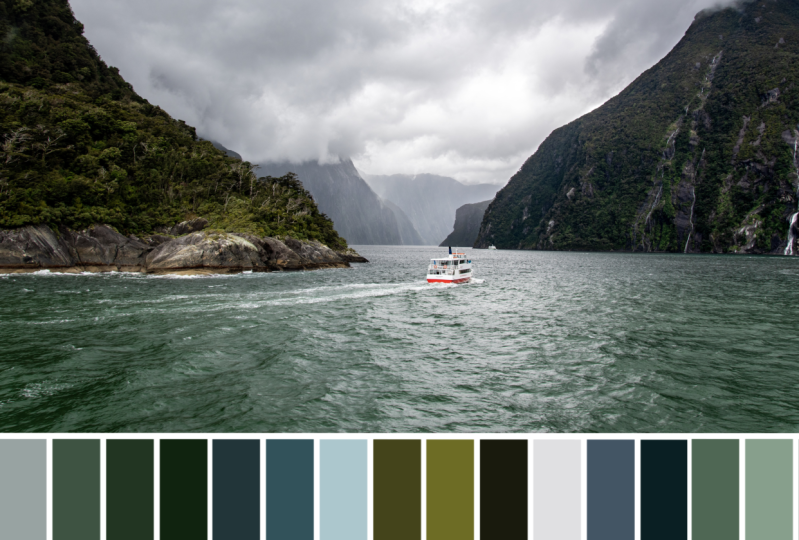 Colour Palette Excercise