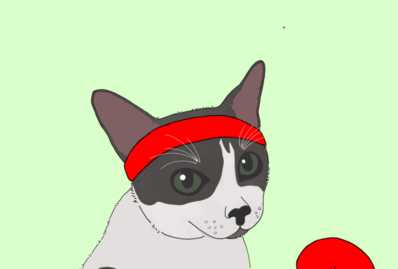 Rogério Balboa
