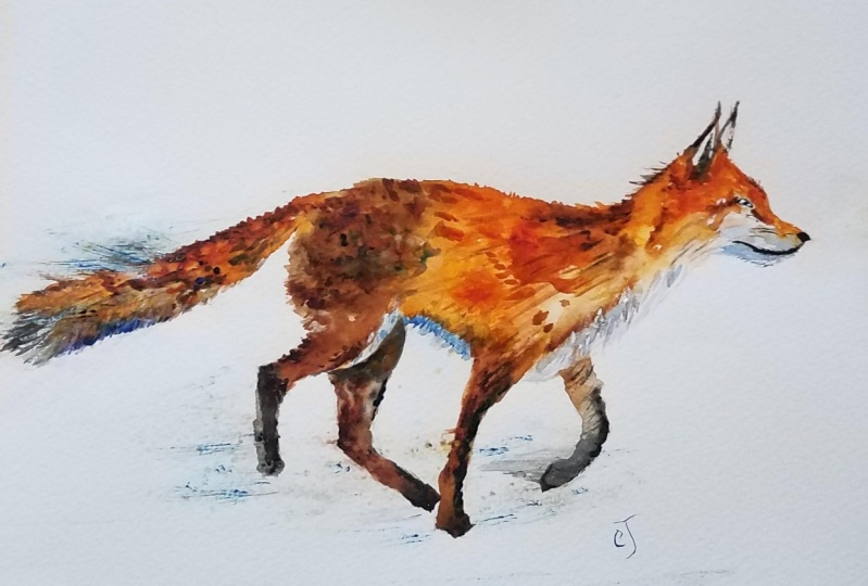 Fox0311