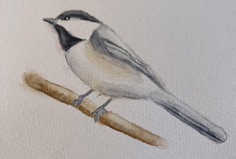 Chickadee on branch