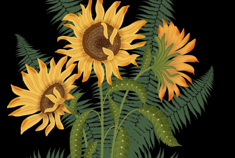 Sunflowers and a pattern