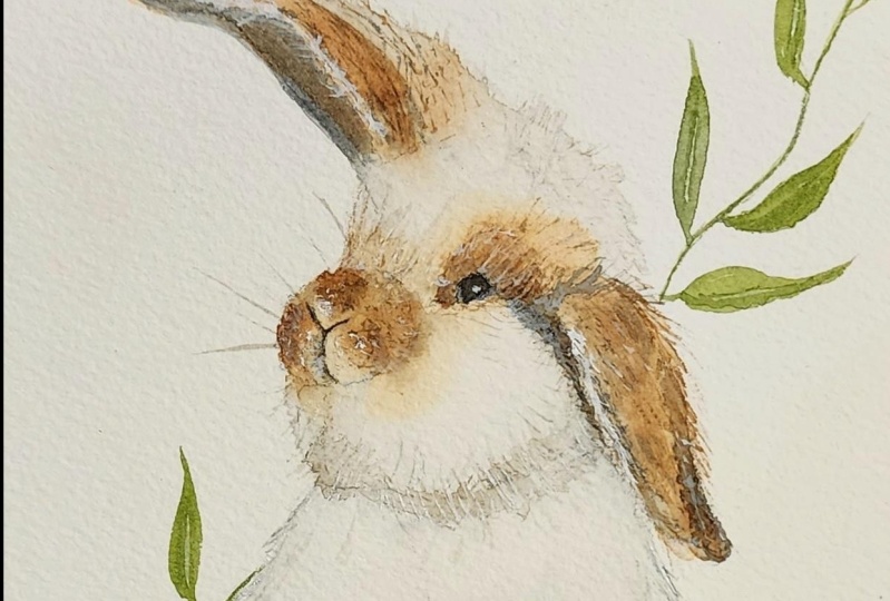 Bunny