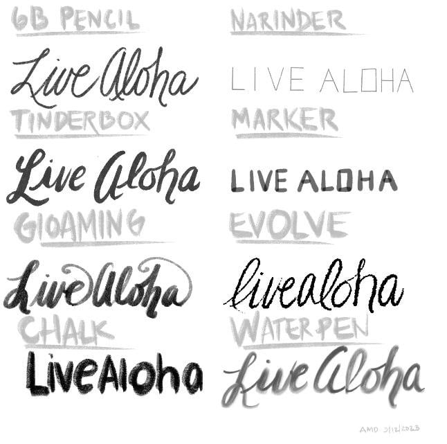 8 Lettering Pens - student project