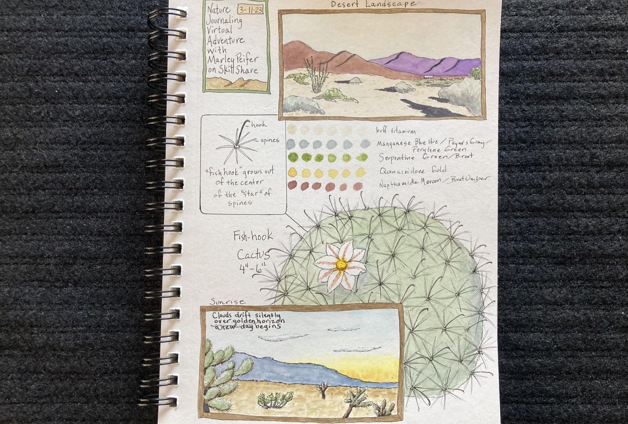 Desert Adventure - student project