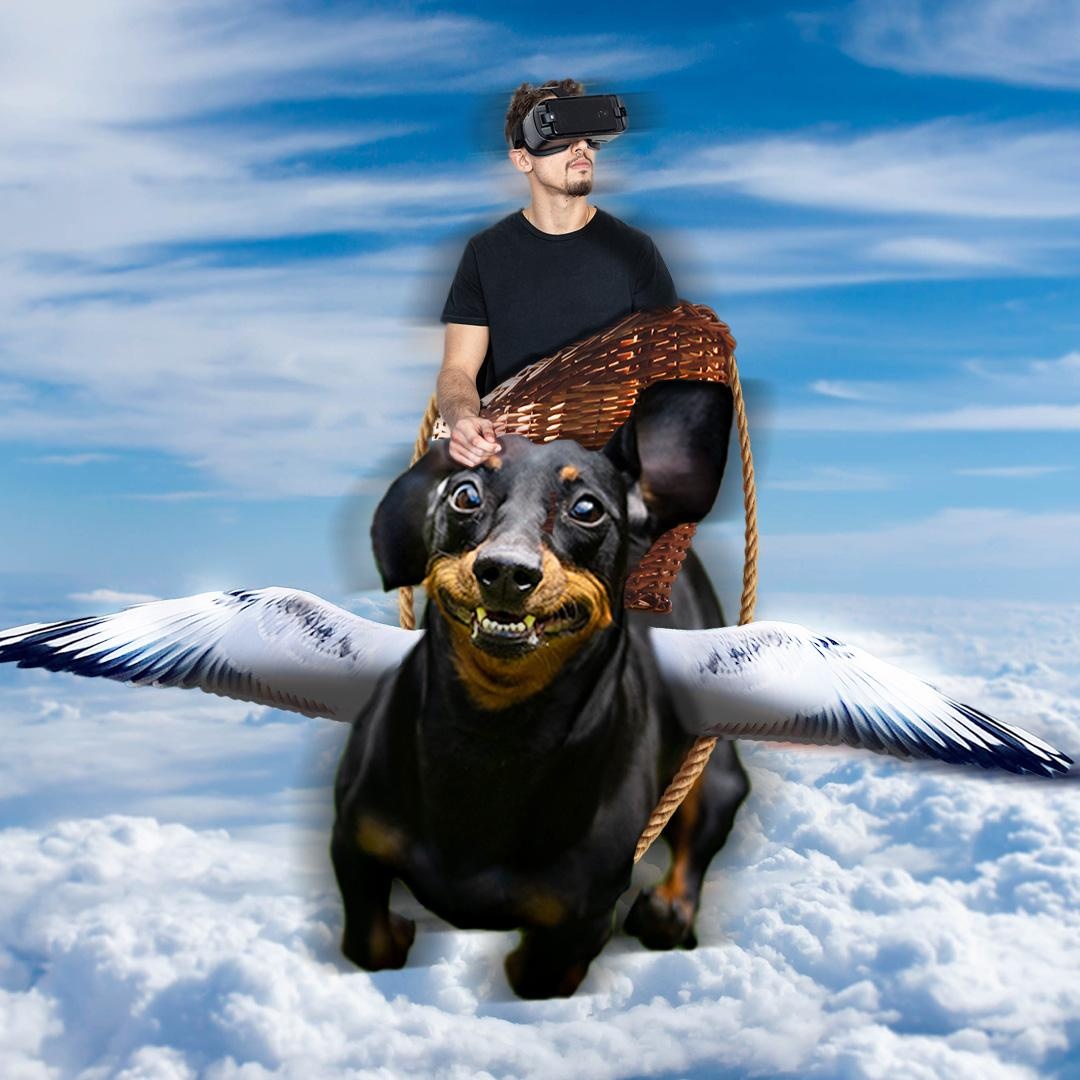 Flying Dog - student project