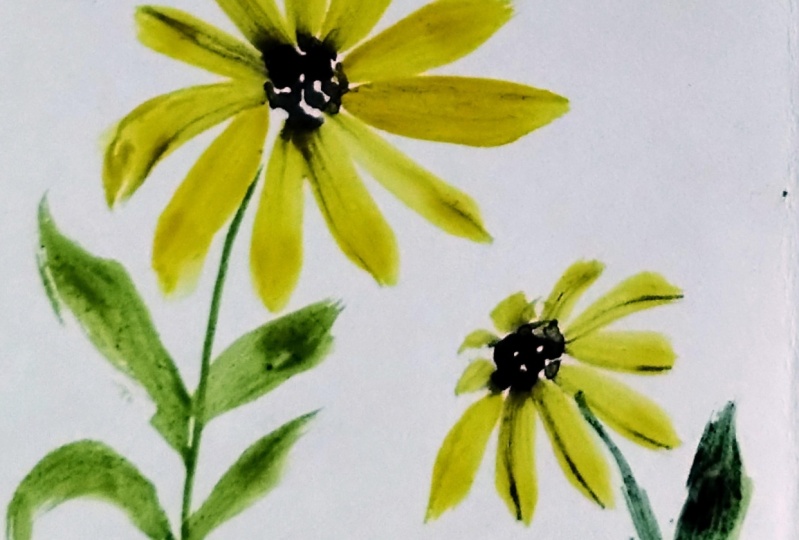 Black eyed Susan with Pooja