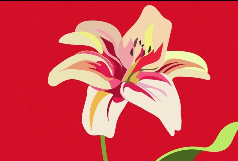 A Lily.