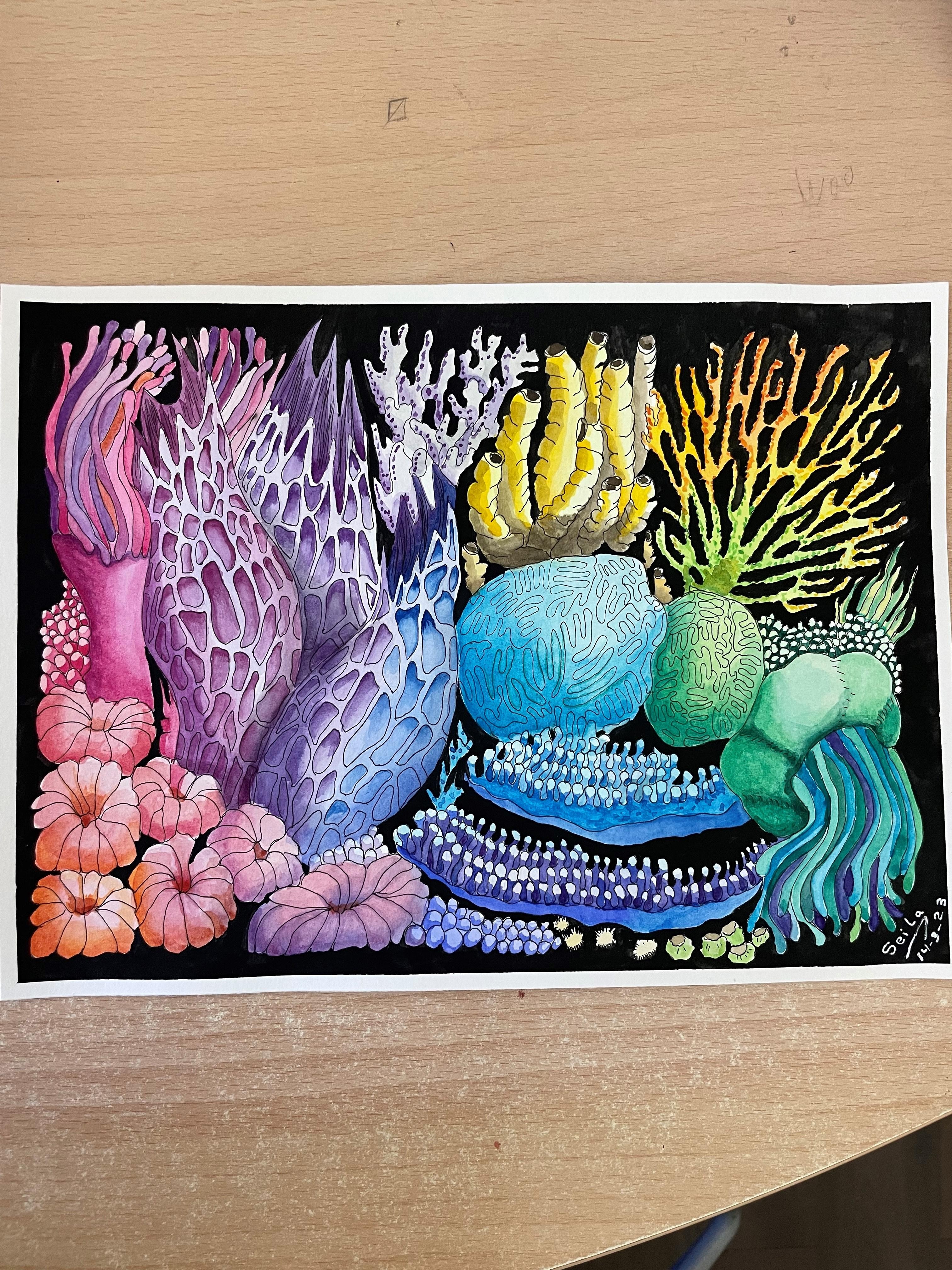 more-projects-from-class-img