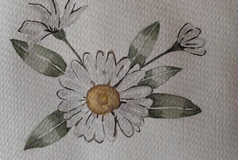Mini Daisy