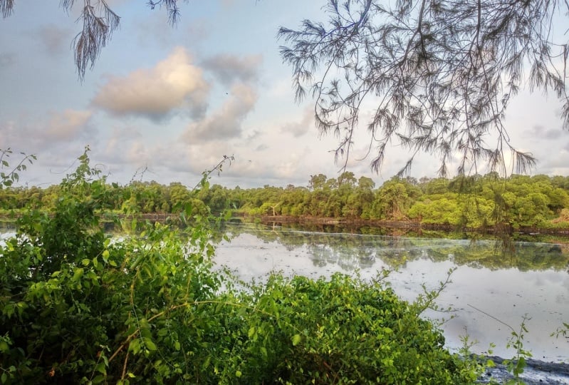 Landscape Photography - Creek in Mumbai, India