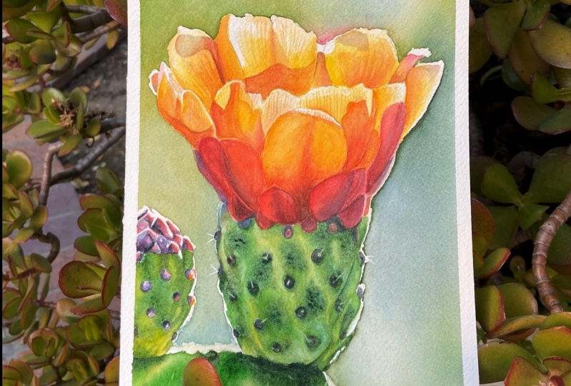Opuntia Flower in Watercolor