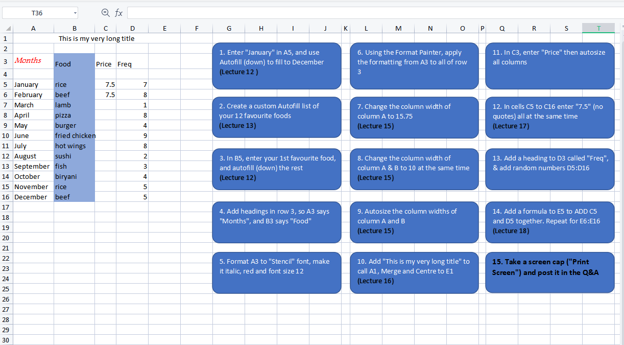 Excel practice project