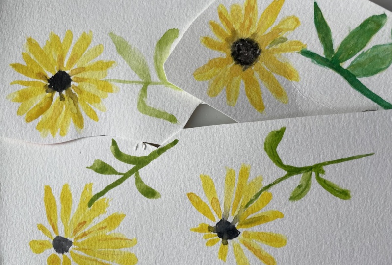 Black eyed susan