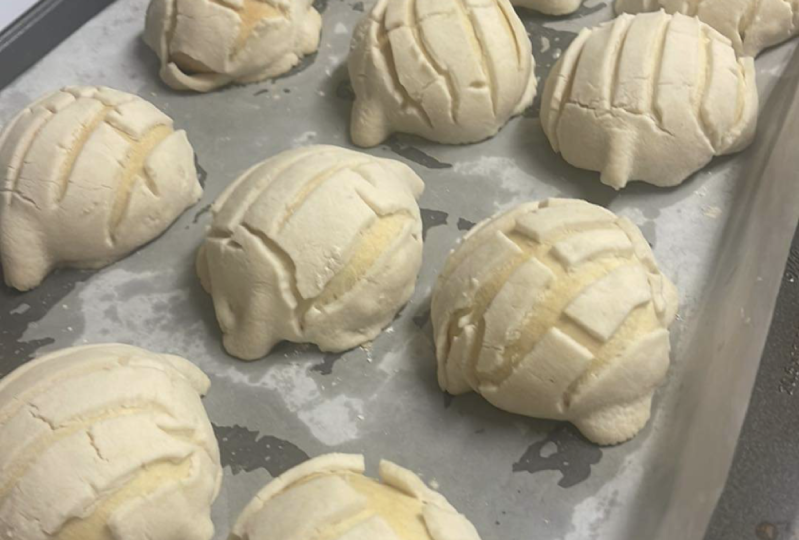 Conchas