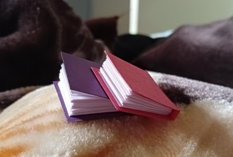 Two miniature books