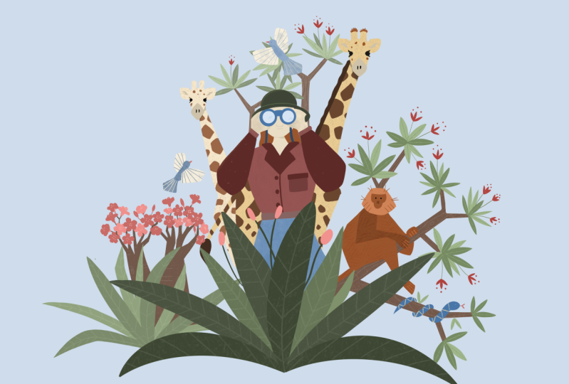 Safari