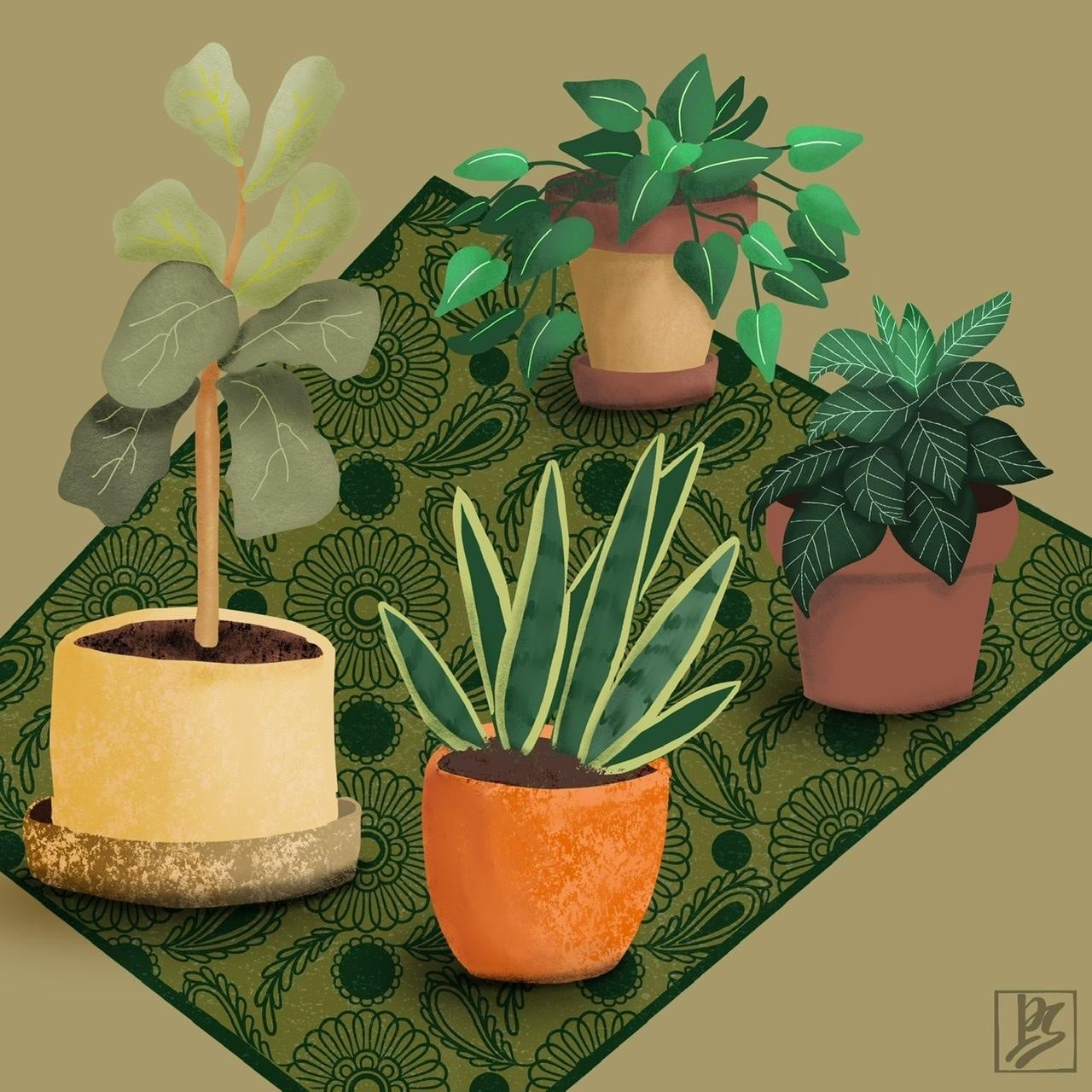 more-projects-from-class-img