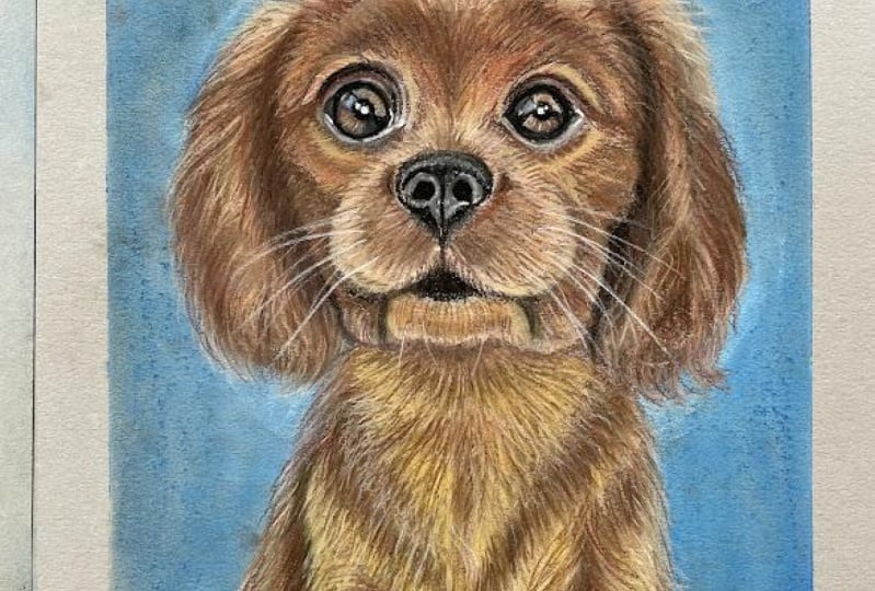 Puppy