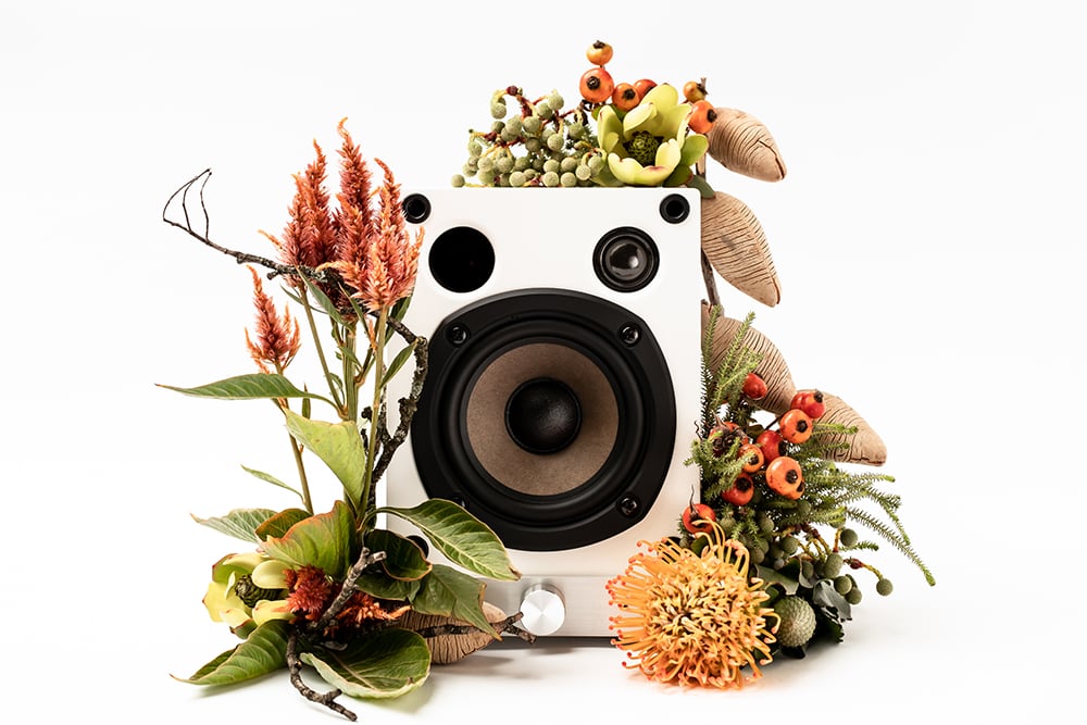 Facebook Ad for Skillshare Class "Product Styling for a Higher Revenue" - student project