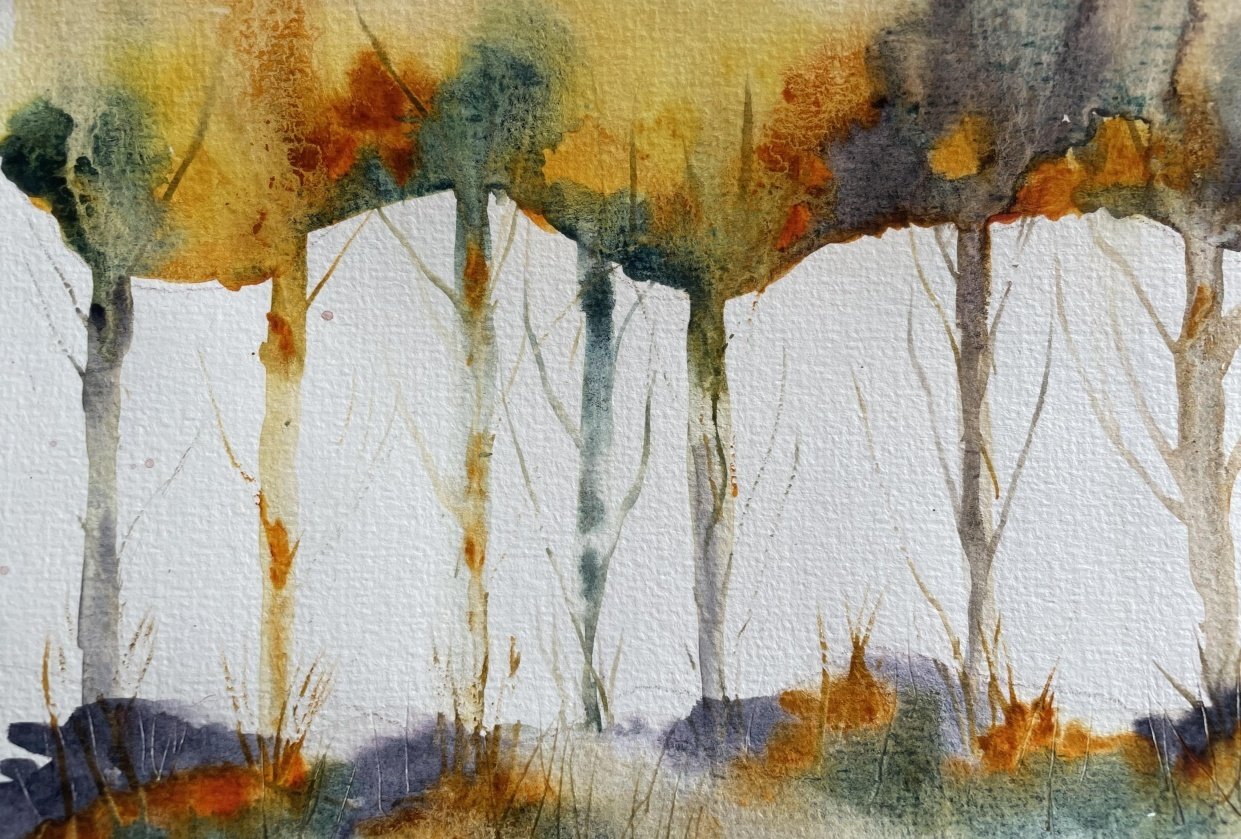 Trees - student project