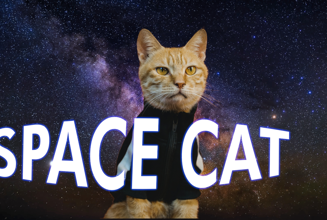 SPACE CAT - student project