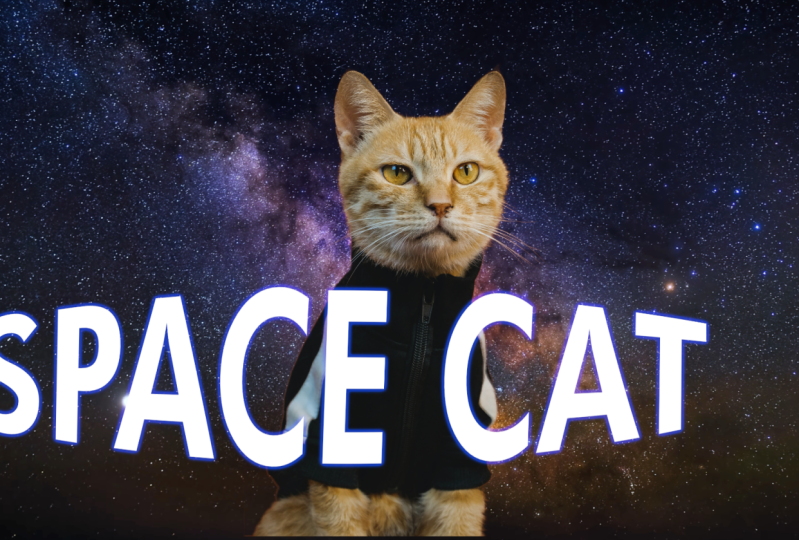 SPACE CAT