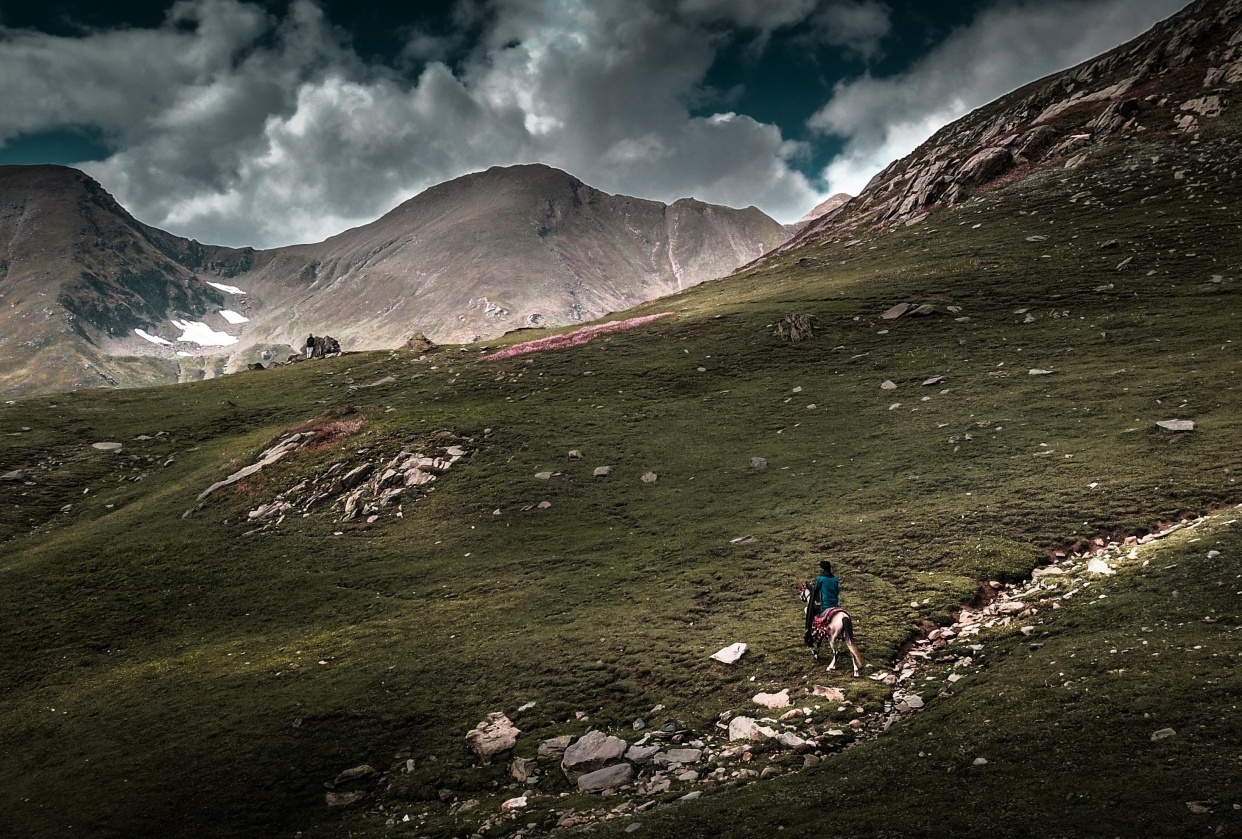 Landscape Editing - student project
