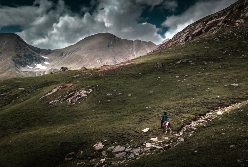 Landscape Editing