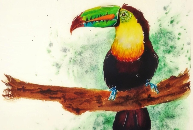 Here's my Toucan