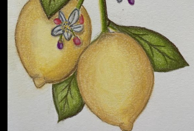 Lemons