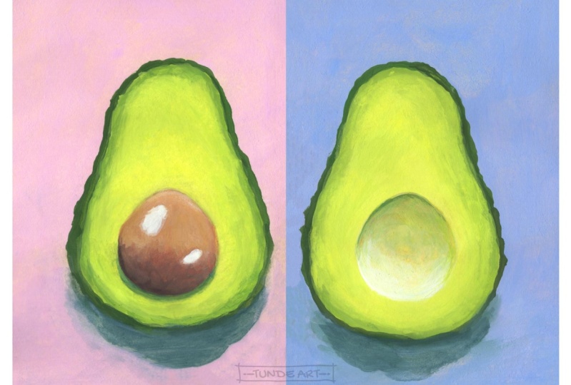 Avocados with Gouache