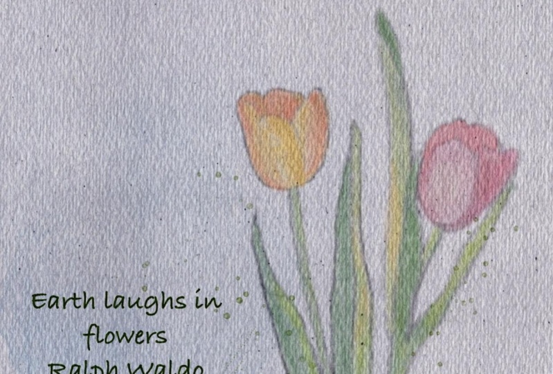How to paint realistic flowers in procreate.