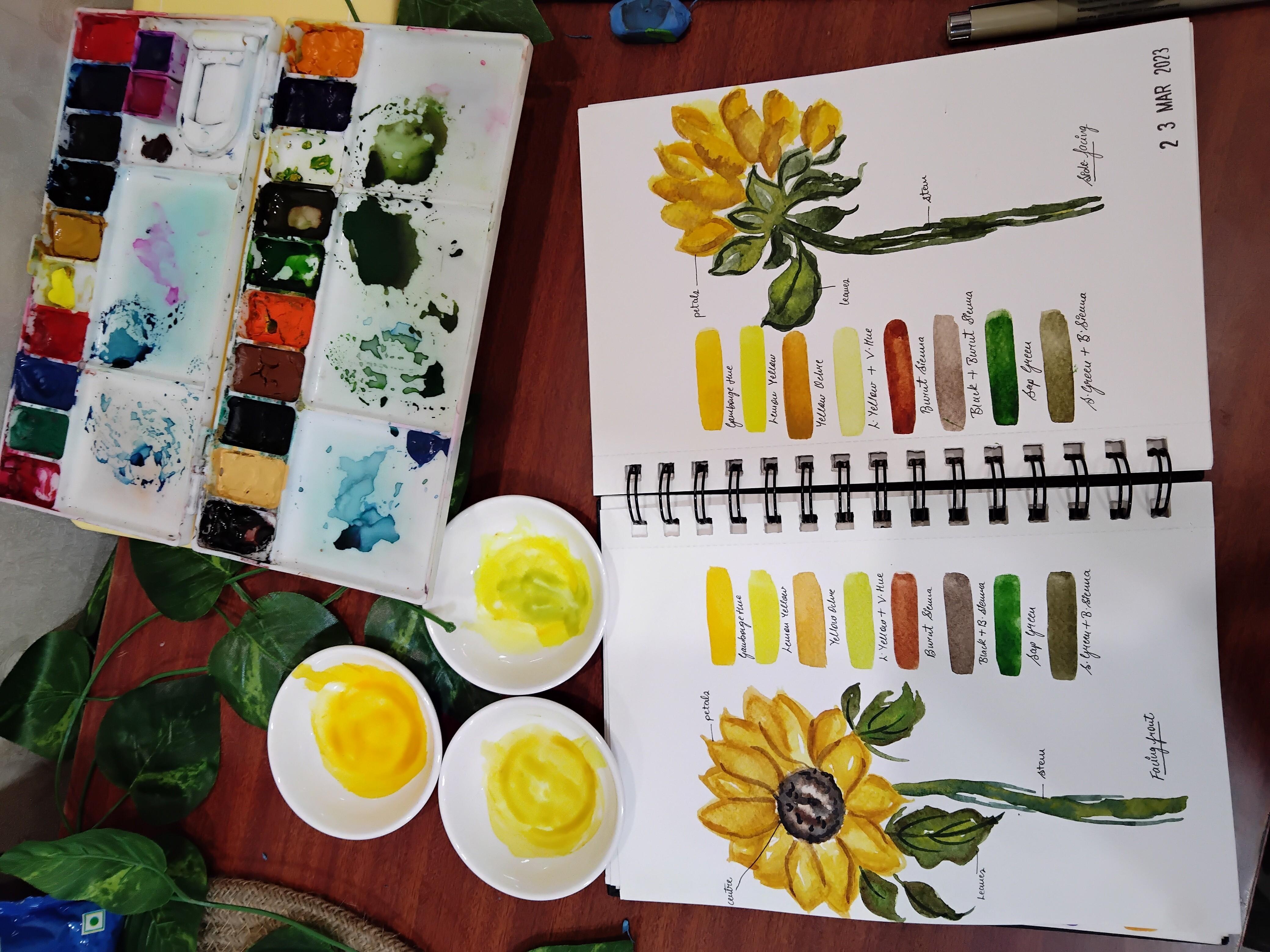 Sunflowers - student project