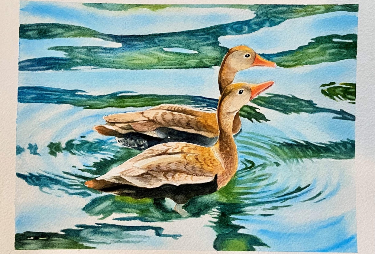 Watercolor ducks - student project