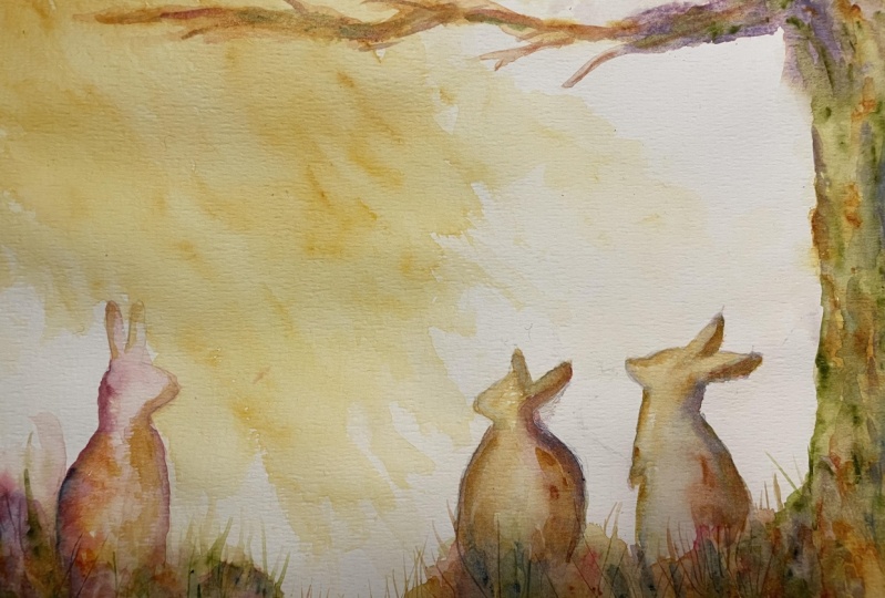 Spring bunnies