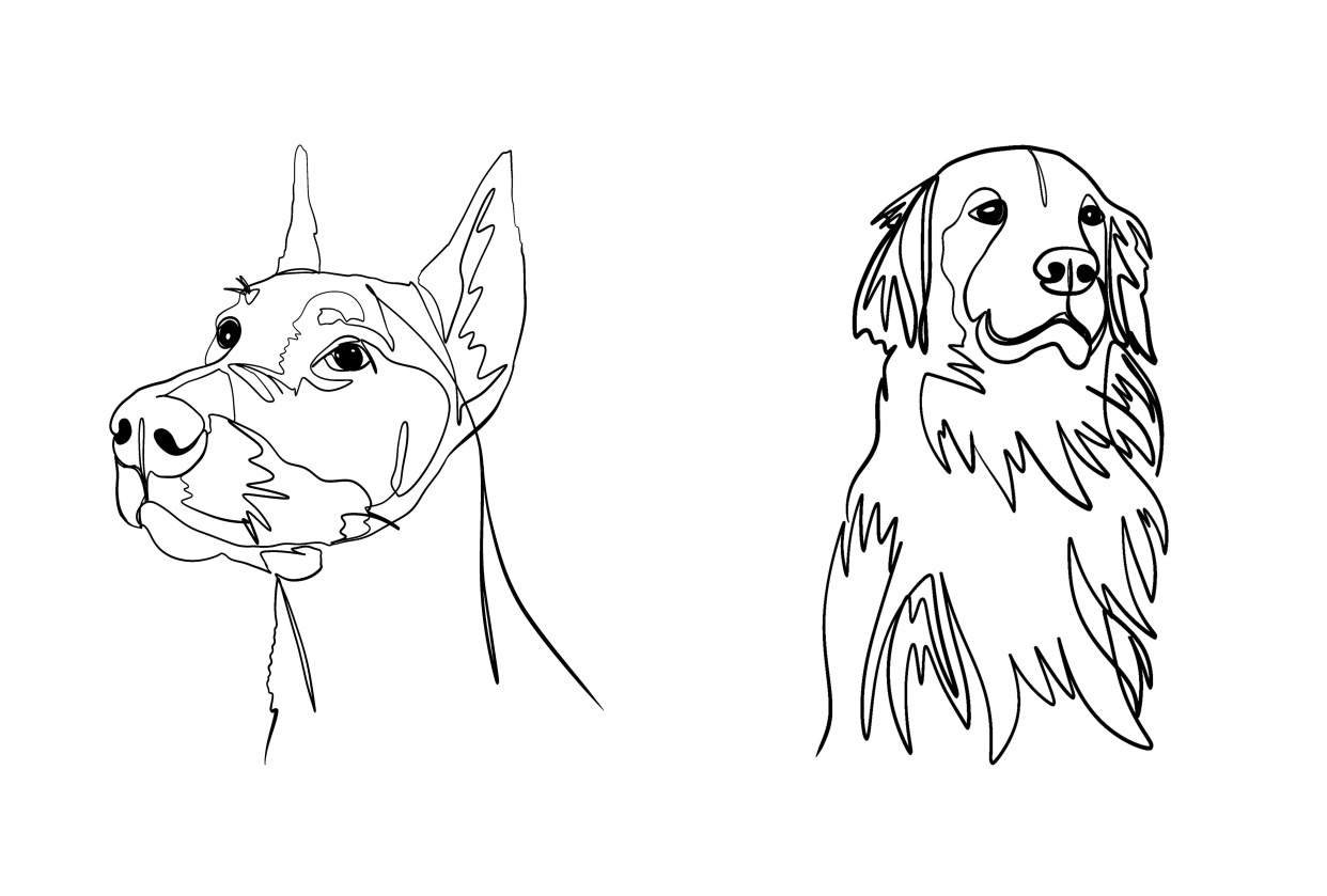 ONE-LINE DRAWING - student project