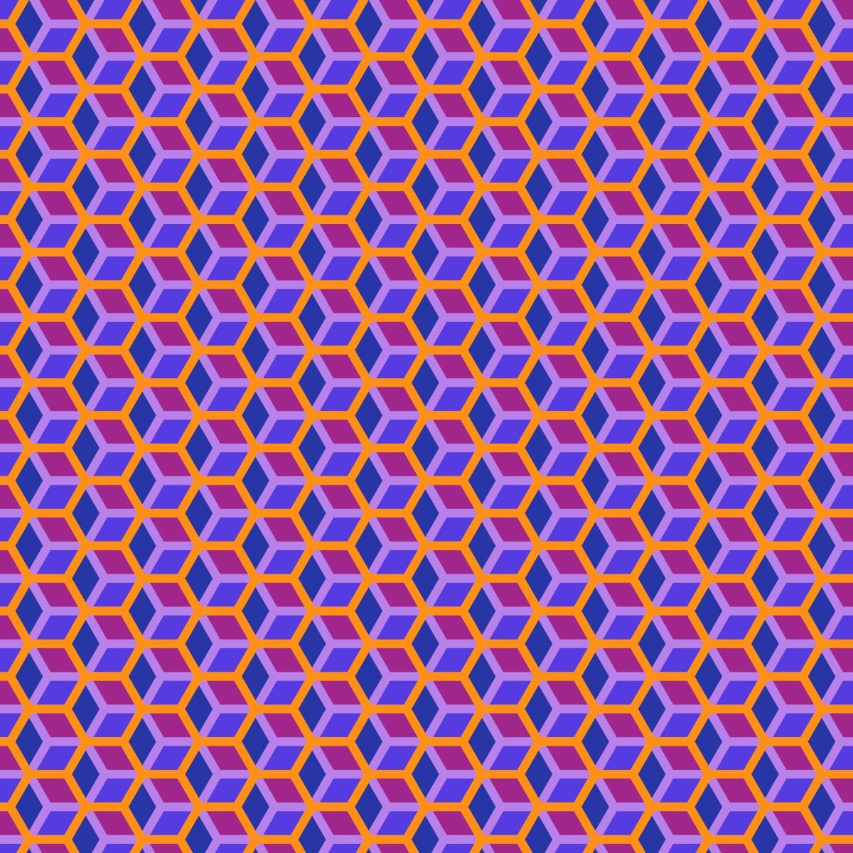 more-projects-from-class-img