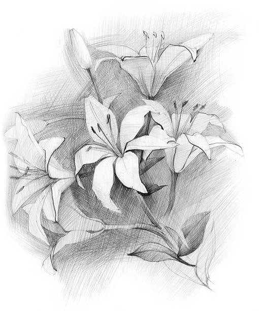 Dibujo de flores - student project