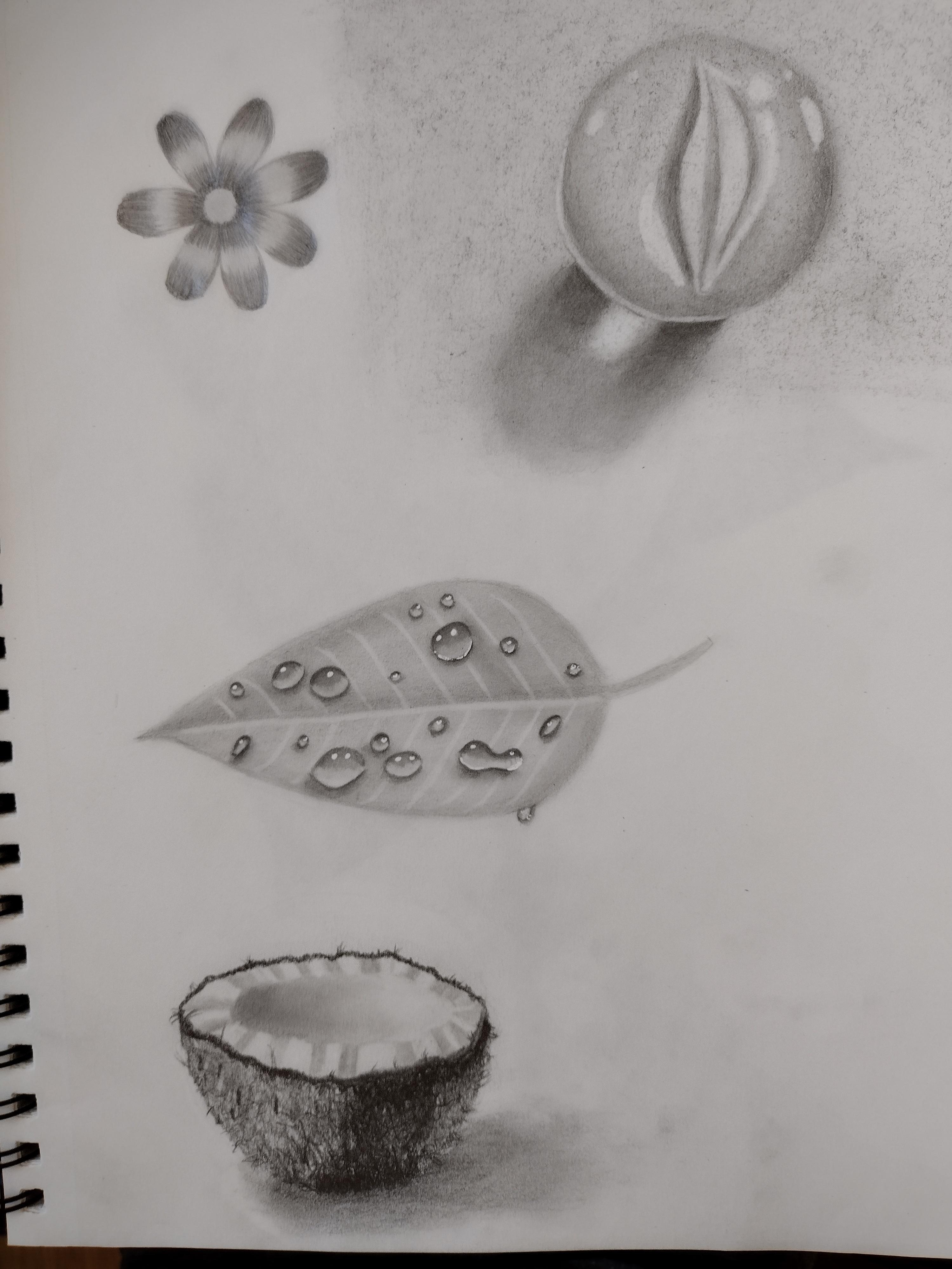 more-projects-from-class-img