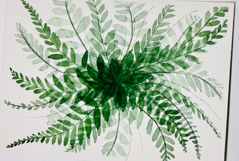 Boston Fern