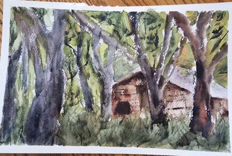 Forest hut