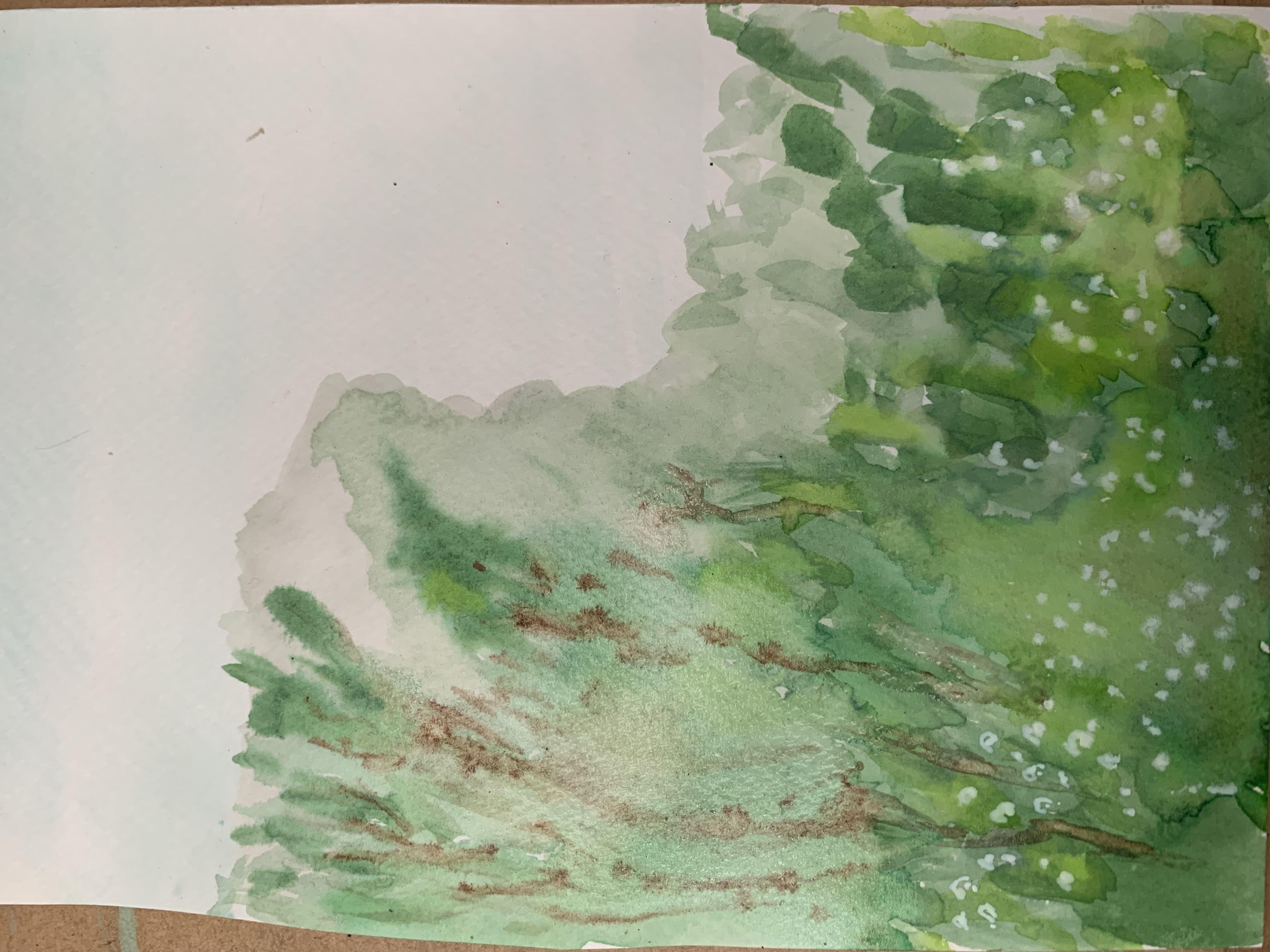 The blue mountain flowers on a clear day - student project